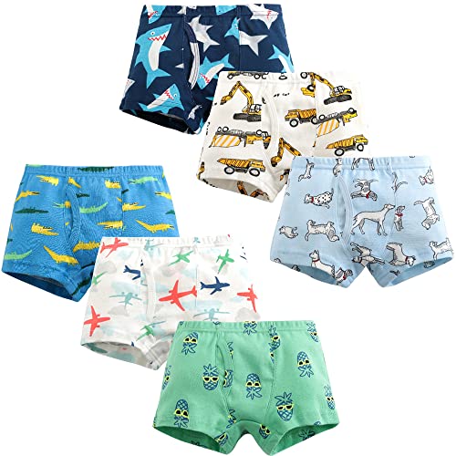 FAIRYRAIN 6 Pack of Kinder Jungen Boxershorts Slips KnickersCartoon Print Panty Unterwäsche Baumwolle Schlüpfer Unterhose Unterwäsche 160 von FAIRYRAIN
