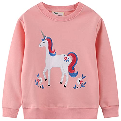 FAIRYRAIN Kinder Jungen Mädchen Baumwolle Einhorn Langarm T-Shirt Warme Pullover Streetwear Langarmshirt Sweat Top 4T von FAIRYRAIN