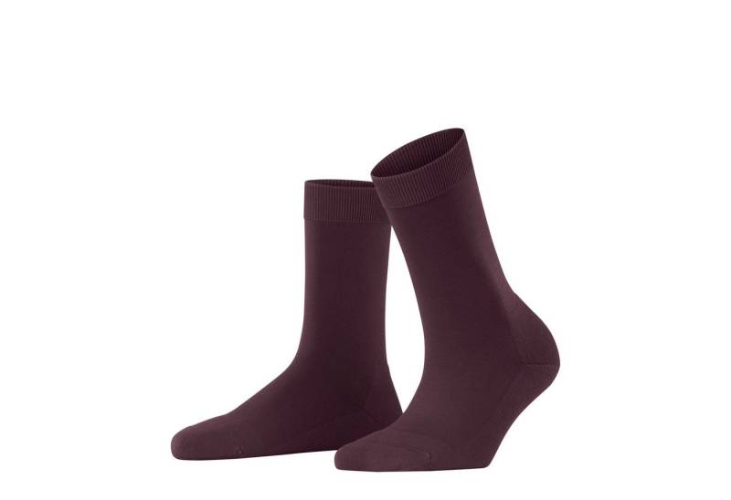 FALKE Freizeitsocken Falke Damen ClimaWool Socken 46484 von FALKE