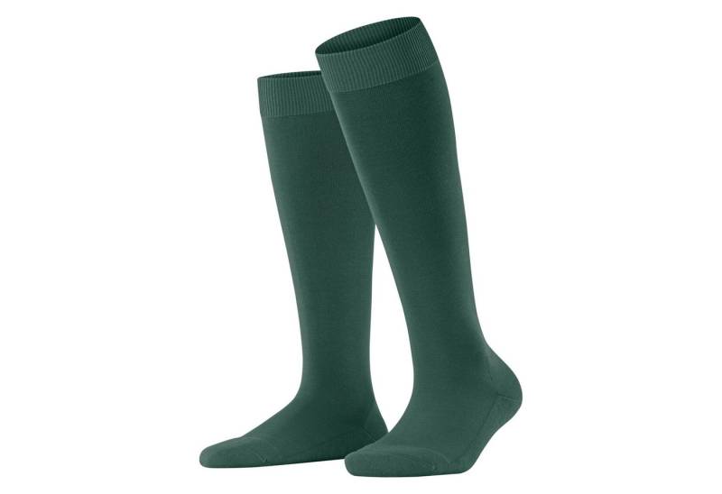 FALKE Freizeitsocken Falke Damen Kniestrümpfe ClimaWool KH 46884 von FALKE