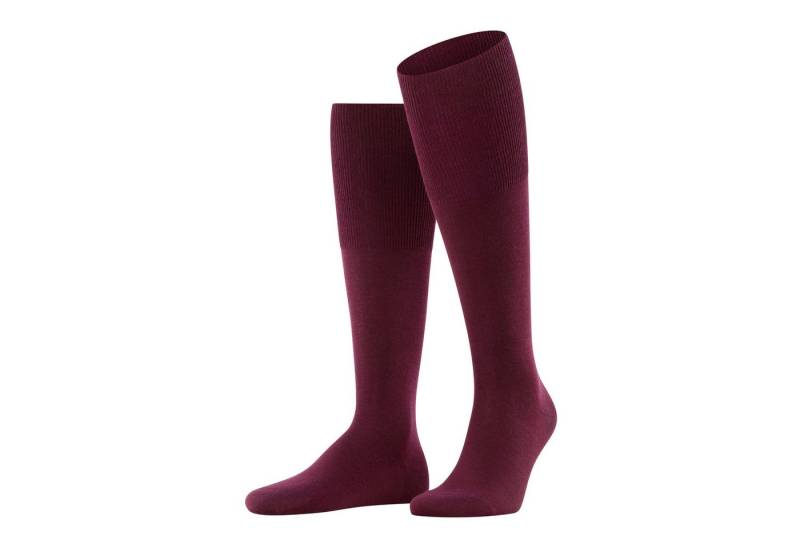 FALKE Freizeitsocken Falke Herren Socken Airport Kniestrümpfe 15435 von FALKE