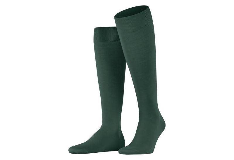 FALKE Freizeitsocken Falke Herren Socken ClimaWool Kniestrümpfe 15468 von FALKE