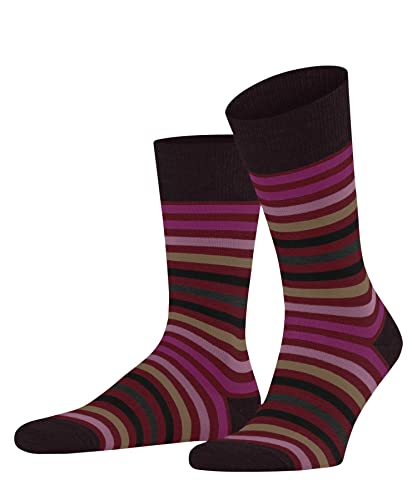 FALKE Herren Socken Tinted Stripe M SO Wolle Baumwolle gemustert 1 Paar, Rot (Ingle 8077), 43-46 von FALKE