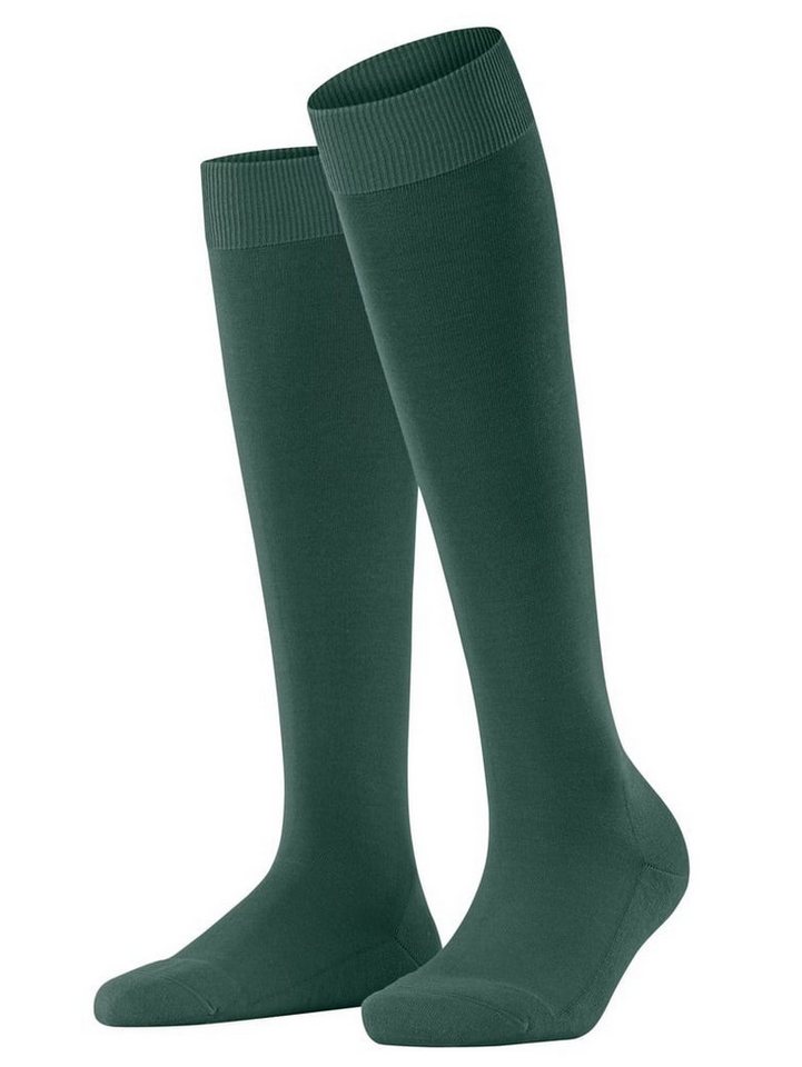 FALKE Kniestrümpfe ClimaWool (feuchtigkeitsregulierend, Merinowolle) huntergrün Damen von FALKE