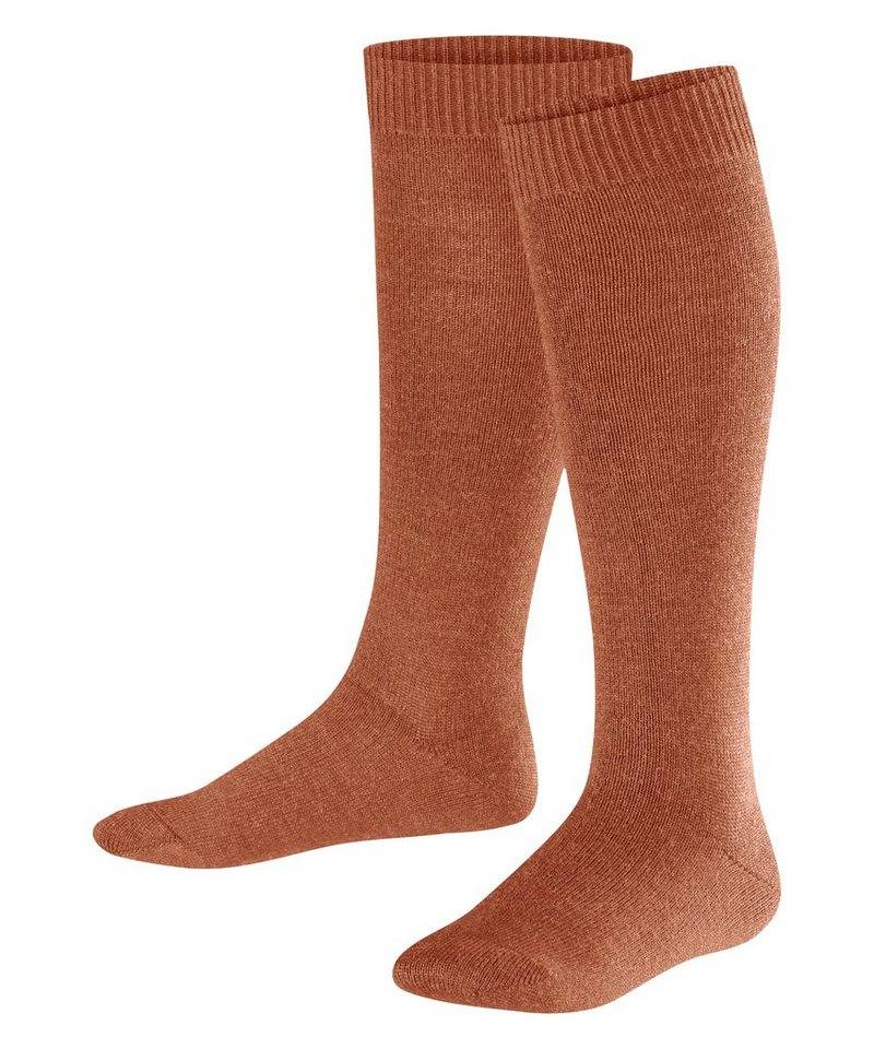 FALKE Kniestrümpfe Comfort Wool (1-Paar) Baumwolle/Merinowolle-Mix von FALKE