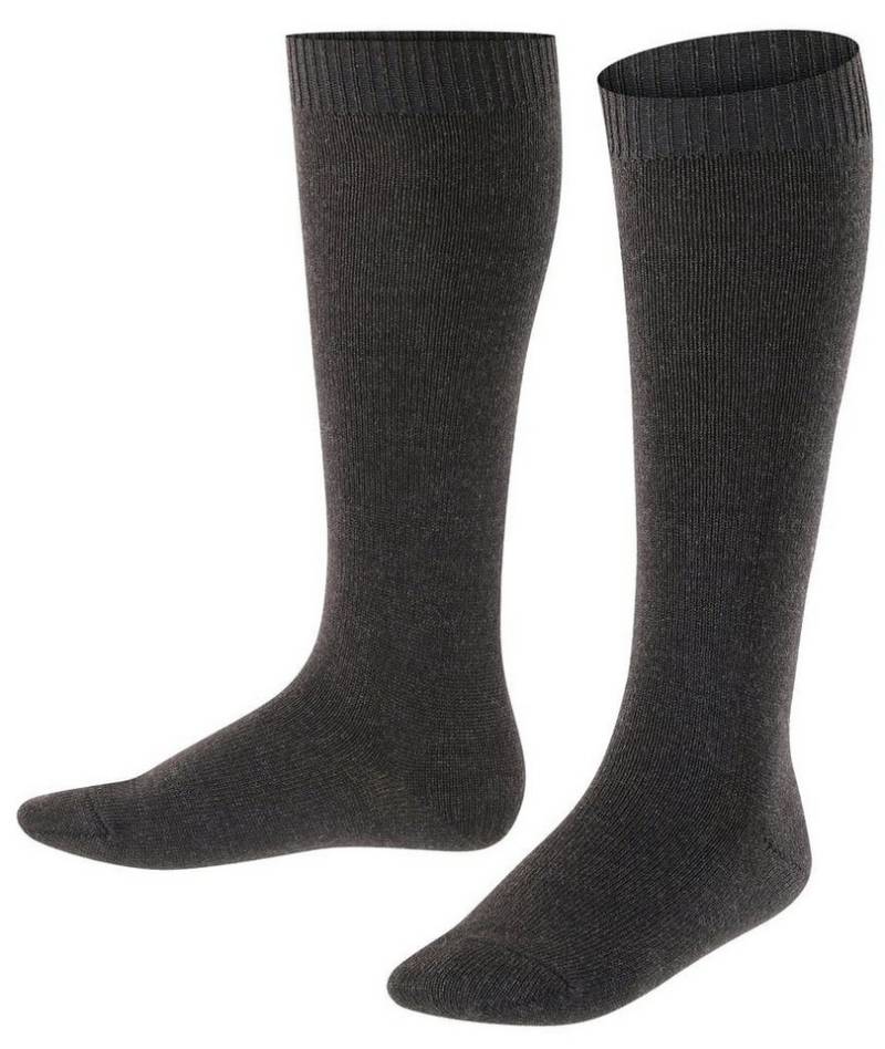 FALKE Kniestrümpfe Tagessocke Comfort Wool (wärmende Merinowolle) anthrazitgrau Kinder von FALKE
