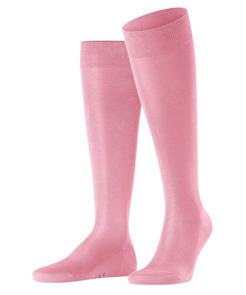 FALKE Kniestrümpfe Tagessocke Tiago New (Komfort im Arbeitsalltag) pink Herren - 1 Paar von FALKE