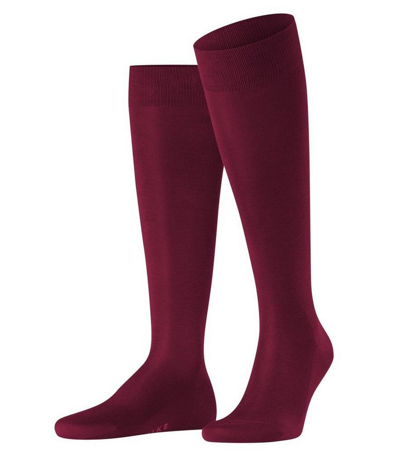FALKE Kniestrümpfe Tagessocke Tiago New (Komfort im Arbeitsalltag) weinrot Herren von FALKE