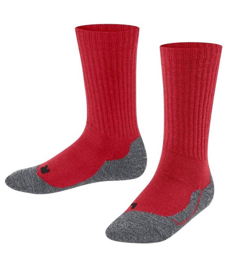 FALKE Socken Tagessocke Active Warm (wärmende Merinowolle) weinrot Kinder - 1 Paar von FALKE