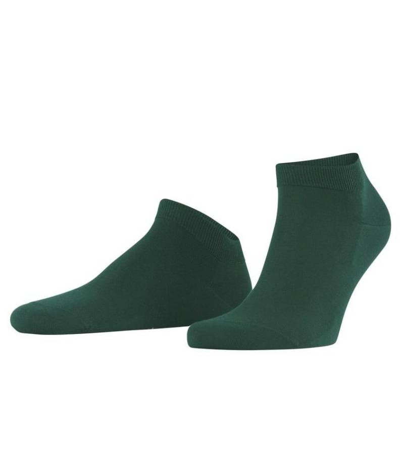 FALKE Socken Tagessocke ClimaWool Sneaker (feuchtigkeitsregulierend, Merinowolle) von FALKE