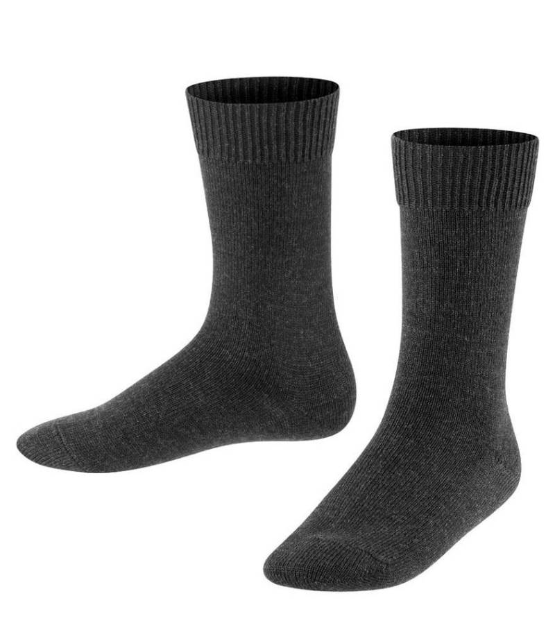 FALKE Socken Tagessocke Comfort Wool (hautschmeichelnde Baumwolle) anthrazitgrau von FALKE