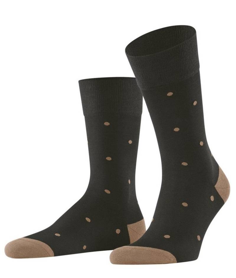 FALKE Socken Tagessocke Crew Dot (angenehm weiche Baumwolle) dunkelbraun Herren von FALKE