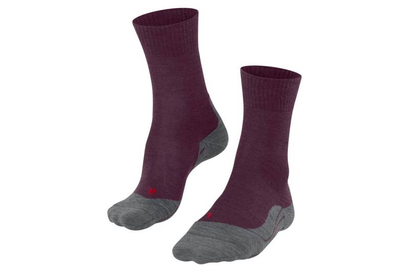 FALKE Sportsocken Falke Damen Trekking Socken TK5 16243 von FALKE