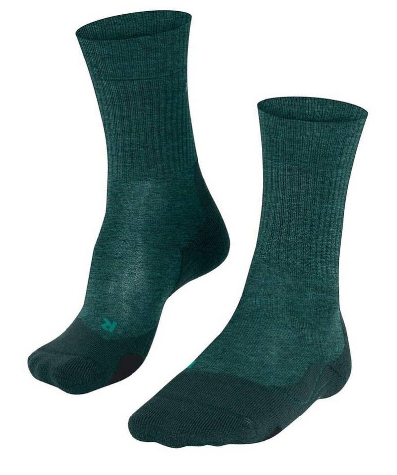 FALKE Wandersocken TK2 Wool (leicht gepolstert, für lange Wanderungen) grün/blau Herren von FALKE