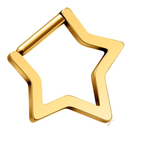 FANSHINUO Elegante Stern-Nasenringe für Frauen, modisches anspruchsvolles Design für Partys und den Alltag, 1.2*8mm, Titanlegierung von FANSHINUO