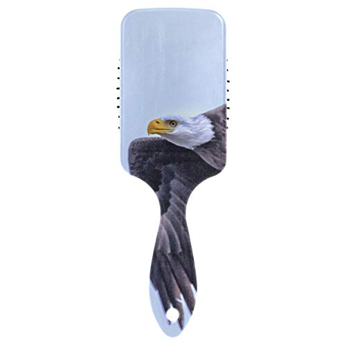 FANTAZIO Volant Adler Haarbürste für Damen Herren Kinder geschädigtes lockiges gewelltes krauses Haar Massage Gehirn Akupunktionen von FANTAZIO