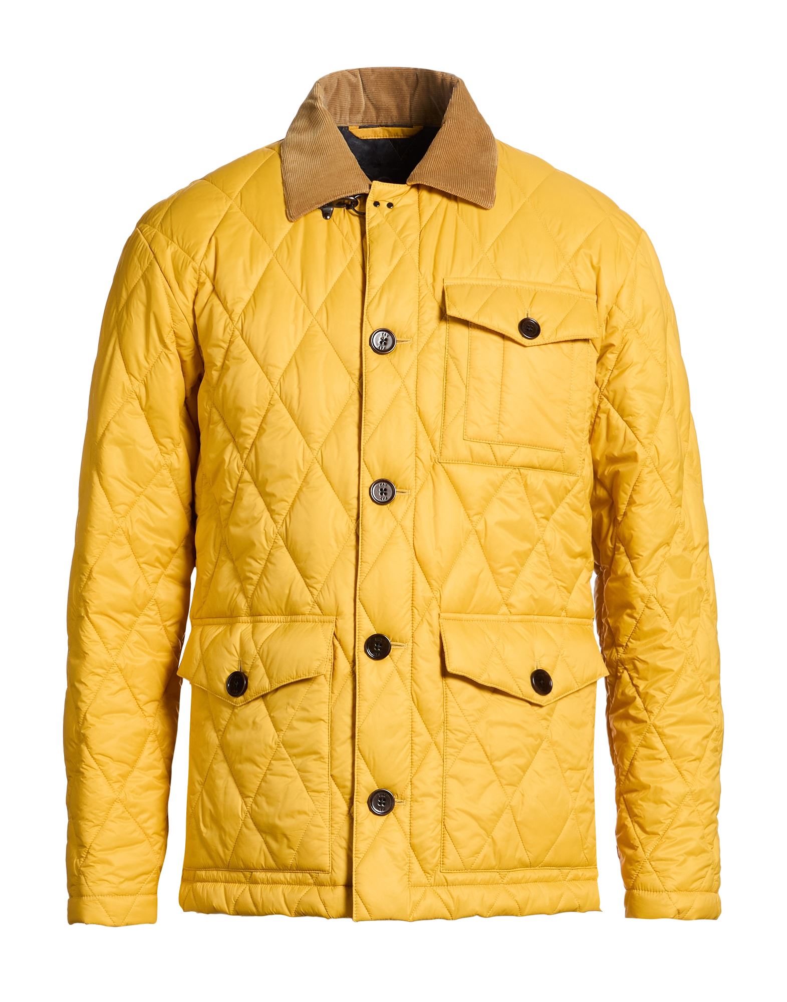 FAY Pufferjacke & Daunenjacke Herren Gelb von FAY