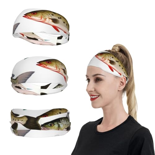 Verschiedene Fisch-Sport-Stirnbänder für Männer und Frauen, Schweißbänder, feuchtigkeitsableitend, Workout-Schweißbänder, Herren, Lauf-Stirnband, Schweiß-Stirnbänder für Tennis, dehnbares Haarband Verschiedene Fisch-Sport-Stirnbänder für Männer und Frauen, Schweißbänder, feuchtigkeitsableitend, Workout-Schweißbänder, Herren, Lauf-Stirnband, Schweiß-Stirnbänder für Tennis, dehnbares Haarband von FCTVASDM