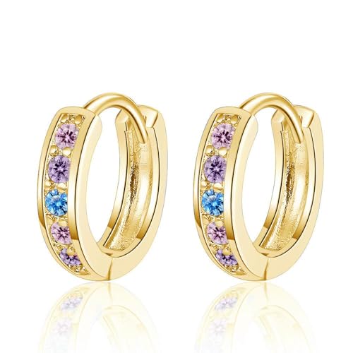 FDEETY Kreisform Zirkonia Ohrringe Huggie Schmuck Damenohrstecker Glänzend Elegant Klassisch Mehrfarbig von FDEETY