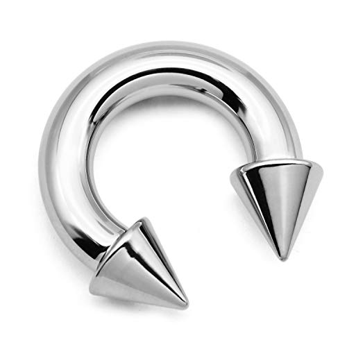 FECTAS PA Ring Prince Albert Piercing Hufeisen Spike 12G 12mm Chirurgenstahl mit Innengewinde Körperschmuck für Männer Frauen Silber von FECTAS