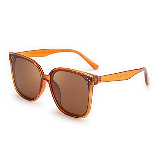 FEISEDY Klassisch Square Polarisiert Sonnenbrille für Damen UV400 Schutz übergroße Vintage Shades B2600 von FEISEDY