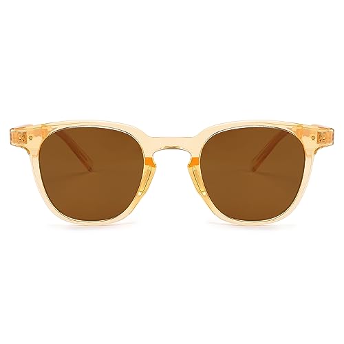 FEISEDY Polarisiert Sonnenbrille Damen Klassisch Runde Brille Herren Vintage Klein mit UV400 Schutz B0002 von FEISEDY