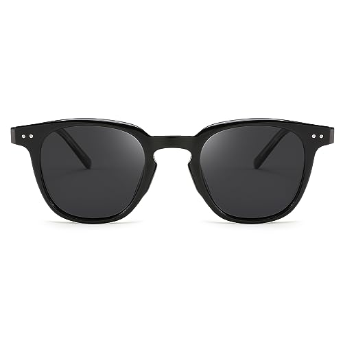 FEISEDY Polarisiert Sonnenbrille Damen Klassisch Runde Brille Herren Vintage Klein mit UV400 Schutz B0002 von FEISEDY