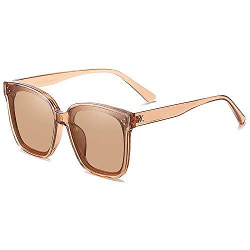 FEISEDY Polarisierte Sonnenbrille Herren Große Brillen Damen Vollrand Sonnenbrille Eckig für Frauen und Männer B1068 von FEISEDY