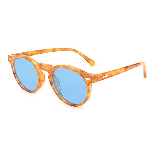 FEISEDY Sonnenbrille Damen Polarisiert Runde Brille Herren Vintage Klein mit UV400 Schutz B2355 von FEISEDY