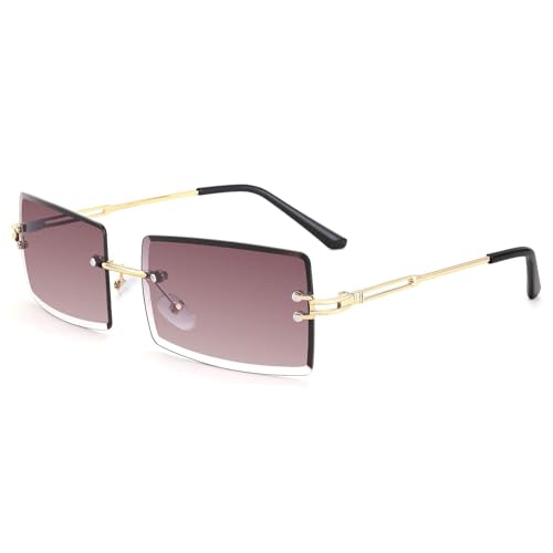 FEISEDY Rechteckig Sonnenbrille UV400 Schutz Kleine Rahmen Vintage Mode Square Sonnenbrille für Damen Herren B2642 von FEISEDY