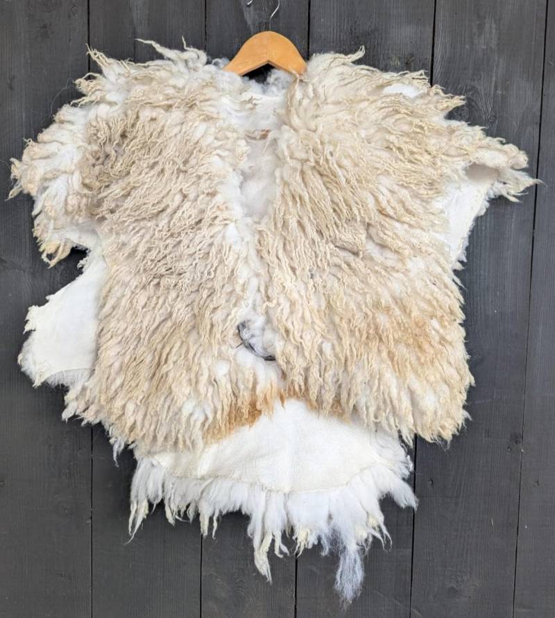 Großer Fellumhang Xl - Fell Für Wikinger Viking Krieger Bekleidung Mit Fell- Vikings- Got Einzelstück 909 Großer Fellumhang Xl - Fell Für Wikinger Viking Krieger Bekleidung Mit Fell- Vikings- Got Einzelstück 909 von FELLFORFASHION