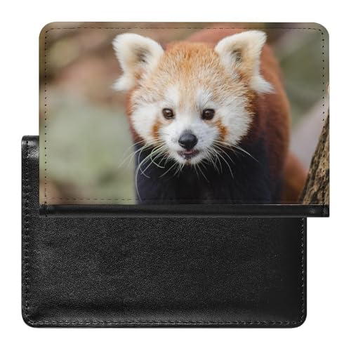 FENAC Reisepasshülle Waschbär Reisepass Schutzhülle Geldbörsen Für Kreditkarten Ausweis Reisedokumente von FENAC