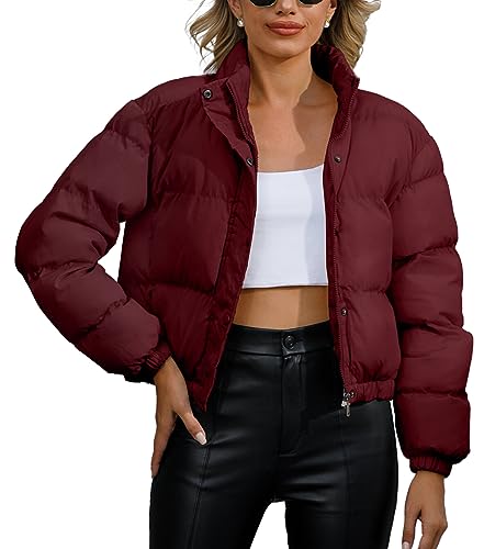 FEOYA Damen Reißverschlussjacke Winter Warme Kurze Daunenjacke Mantel Stehkragen Cropped Puffer Jacke Weinrot S von FEOYA