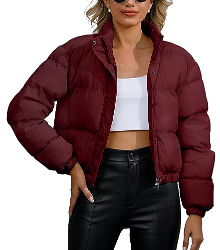 FEOYA Damen Reißverschlussjacke Winter Warme Kurze Daunenjacke Mantel Stehkragen Cropped Puffer Jacke Weinrot XS von FEOYA