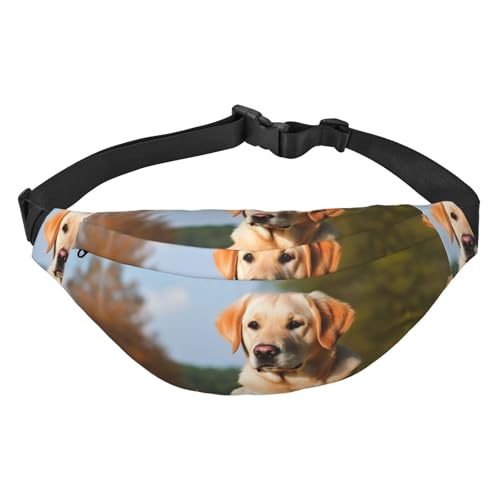 Gürteltasche mit süßem Labrador-Hund, für Männer und Frauen, modische Hüfttasche, überall Crossbody-Tasche, Geldbörse, Hüfttasche mit verstellbarem Riemen, wasserdichte Brusttasche für Reisen, von FHEBNDS