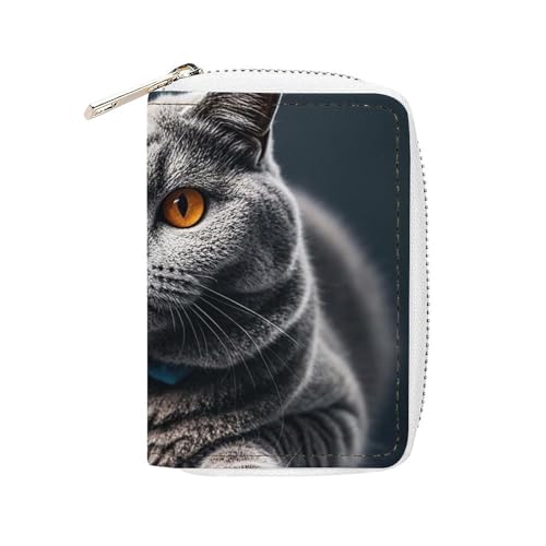 FHESDCW Kreditkartenetui aus Leder mit 20 Kartenfächern, kleine Geldbörse mit Reißverschluss, Motiv: graue Katze liegt von FHESDCW