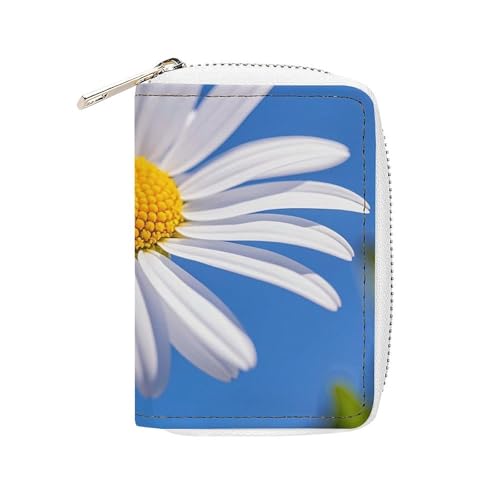 FHESDCW Spring Daisy Kartenetui für Herren und Damen, Leder, Kreditkartenetui mit 20 Kartenfächern, kleine Geldbörse mit Reißverschluss von FHESDCW