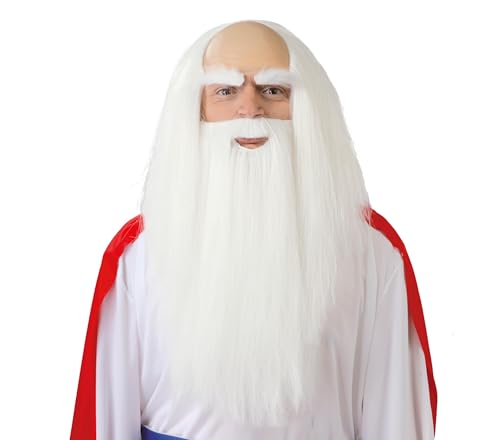 Guirca Fiestas GUI4879 - Druiden Perücke und Bart (Box Container) von FIESTAS GUIRCA