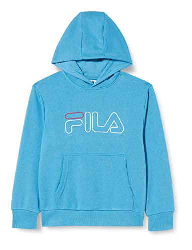 FILA Jungen SEELZE Kapuzenpullover, Cendre Blue, 134/140 von FILA