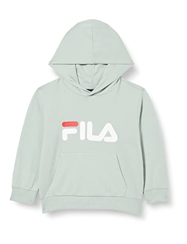 FILA Unisex Kinder BAJONE Classic Logo Hoody, Silt Green, 98/104 von FILA