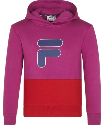 FILA Unisex Kinder Bielefeld Hoody Kapuzenpullover, Wild Aster-True Red, 98/104 von FILA