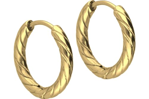 FILANGO 1 Paar Titan Ohrclicker Ohrringe Creolen gedreht goldfarben von FILANGO