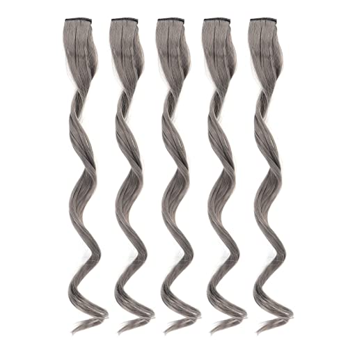 5pcs Farbiger Haarteil Clip, Langes Lockiges Haarteil Frauen Mädchen Stilvolle Haarverlängerung Farbige Highlights Haarteil mit Clip (Bleistift grau) von FILFEEL