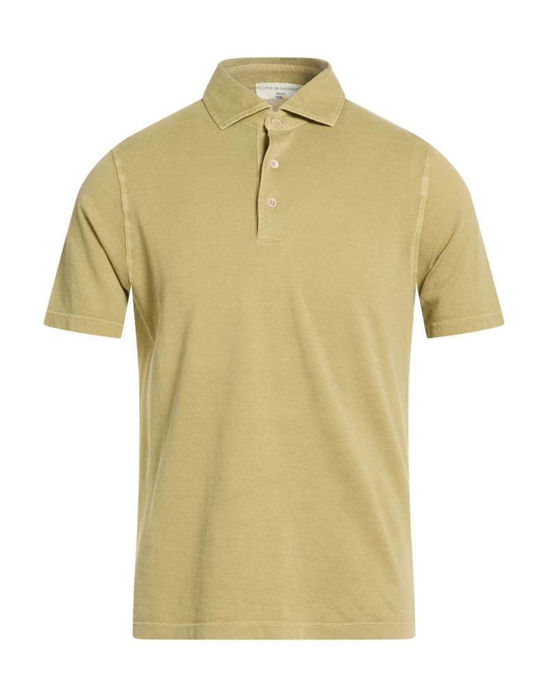 FILIPPO DE LAURENTIIS Poloshirt Herren Salbeigrün FILIPPO DE LAURENTIIS Poloshirt Herren Salbeigrün von FILIPPO DE LAURENTIIS