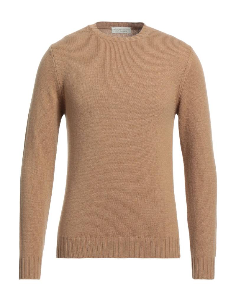 FILIPPO DE LAURENTIIS Pullover Herren Braun von FILIPPO DE LAURENTIIS