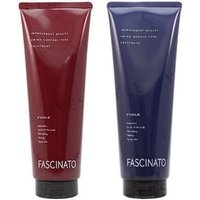 FIOLE - Fascinato Treatment Amino Control - 180g von FIOLE
