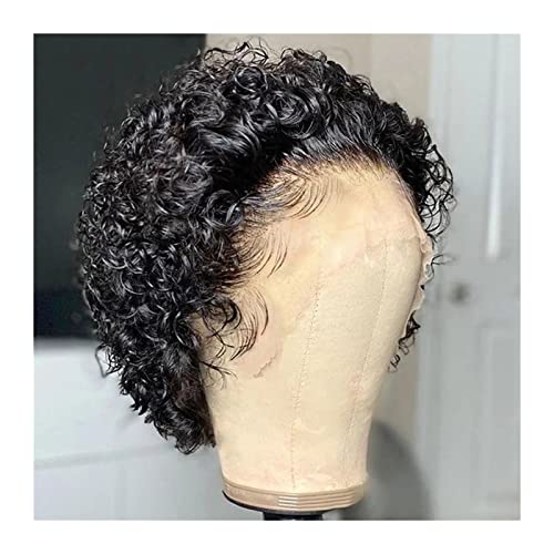 Damen Perücken Pixie Cut Perücke 6 inch Brasilianisches menschliches haar kurz lockige Perücken transparente Spitze 150% Dichte T-Teil Spitze Front Human Haarperücke for Frauen Beauty Ladieshair (Col von FIONEL