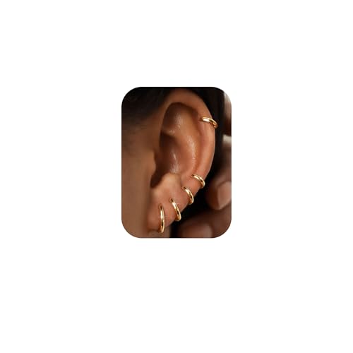 FIOROYAL 5Paar Kleine Creolen Silber 925 für Damen Mädchen 14K Vergoldet Creolen Gold Ohrringe Set Hypoallergen Cartilage Daith Helix Piercings Ohrringe für Mehrere Piercings 6/7/8/9/10MM G FIOROYAL 5Paar Kleine Creolen Silber 925 für Damen Mädchen 14K Vergoldet Creolen Gold Ohrringe Set Hypoallergen Cartilage Daith Helix Piercings Ohrringe für Mehrere Piercings 6/7/8/9/10MM G von FIOROYAL