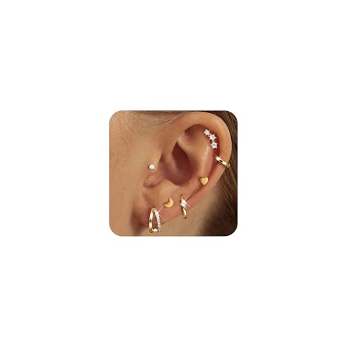 FIOROYAL Ohrringe Gold Set -316L Medizinische Ohrstecker Chirurgenstahl Hypoallergene -14K Vergoldet Zirkonia Tragus Helix Piercings Creolen Gold Klein Ohr Damen G1 von FIOROYAL