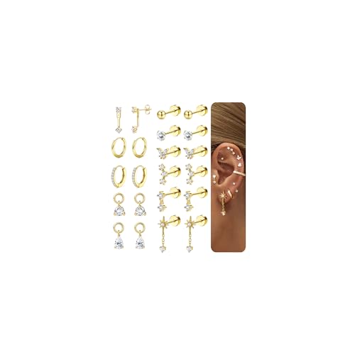 FIOROYAL Ohrringe Gold Set-Hypoallergene 316L Chirurgenstahl Ohrringe Damen für Mehrfachpiercing -14K Gold Medizinische Ohrstecker und Creolen Conch Helix Tragus Piercing Ohr Schmuck G1 von FIOROYAL